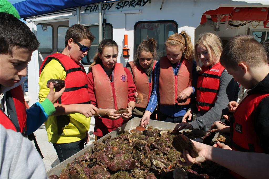Glenburnie School and the Huntsman Marine Science Centre Oakville